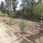 Land clearance River before clearance Wet Hire Sutton NSW