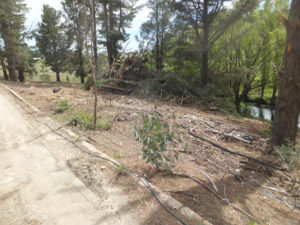 Land clearance River before clearance Wet Hire Sutton NSW