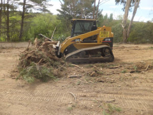 Land clearance Skidsteer scrub clearance Wet Hire Sutton NSW
