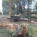 Land clearance Timber clearance Sutton NSW