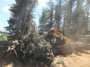 Land clearance Timber clearance Wet Hire Sutton NSW